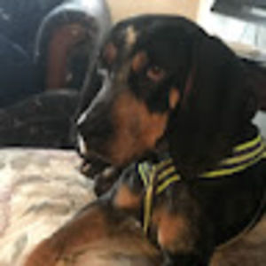 Meet your Posher, Ann